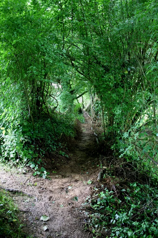 travaux sur le sentier