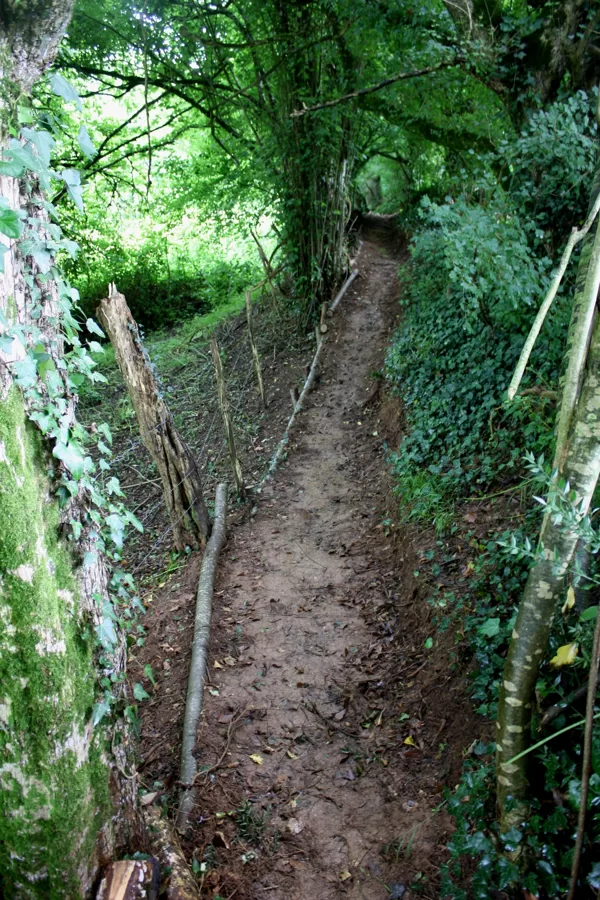 les travaux sur le sentier entre la fontaine du coin et le chêne